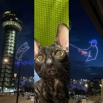 Episode 4: Knoxville Nights - Wandering from Central Collective to Cotton Eyed Joe