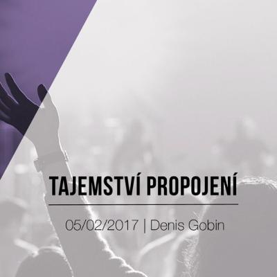 Tajemství propojení - Denis Gobin