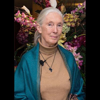 Jane Goodall: Leben und Werk