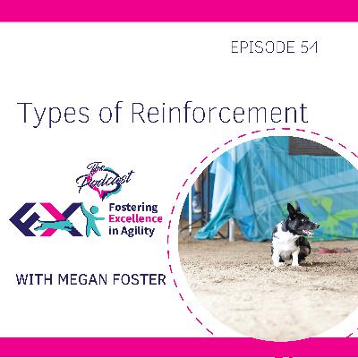 Types of Reinforcement