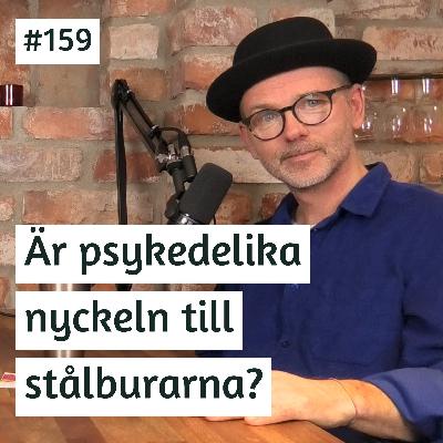 Är psykedelika nyckeln till etablissemangens stålburar? | Pehr Granqvist | #159