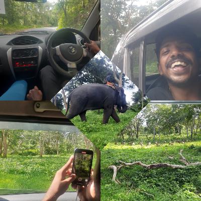 DAY in Masinagudi | OWN car safari | Gang trip | Happiness Travel Book
