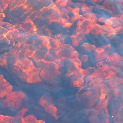 Rob Walsh with Blowin on BCB 106.6 - Sunday 8 November 2020