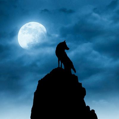 MI A3 Update Fiasco MI A3 Update Fiasco