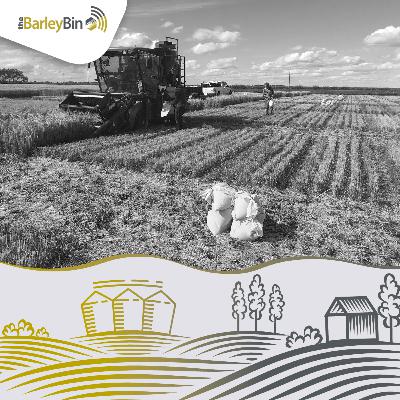 Bringing Better Barley to Western Canada – with Jim Anderson