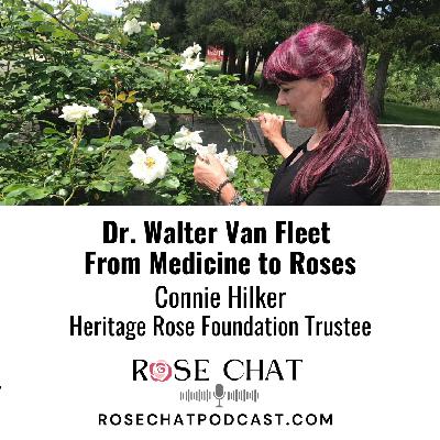 DR WALTER VAN FLEET - FROM MEDICINE TO ROSES