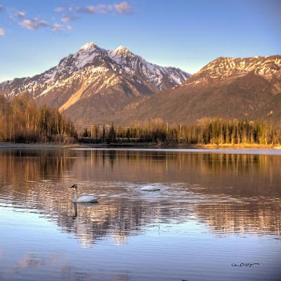 Hide the B and the C Hide the B and the C