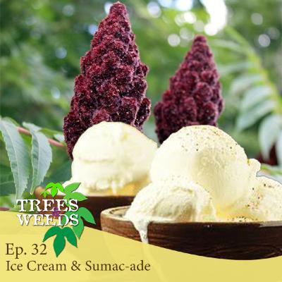 Ep. 32 - Ice Cream & Sumac-ade Ep. 32 - Ice Cream & Sumac-ade