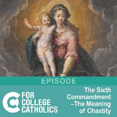 186 Sixth Commandment – Meaning of Chastity 186 Sixth Commandment – Meaning of Chastity