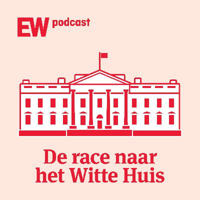 Verlies en verwarring: Democraten moeten zichzelf heruitvinden