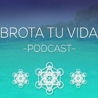 Bienvenidos!!!