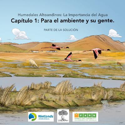 [HUMEDALES ALTOANDINOS] La importancia del agua: Para el ambiente y su gente