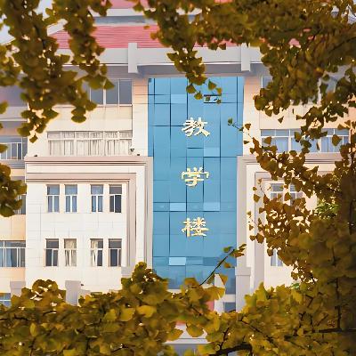 09.校园暗夜：两起持刀伤人案