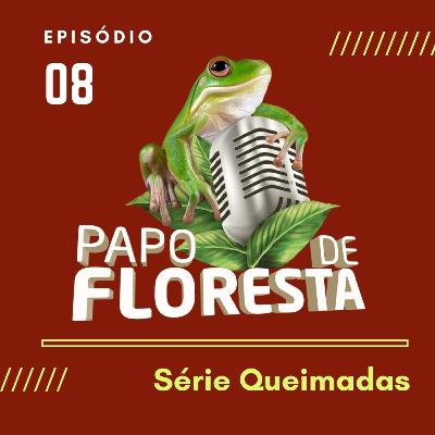 Queimadas: o que contam aqueles que estão no meio do fogo