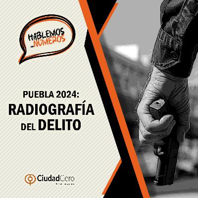 Radiografía del delito en Puebla (2024) Radiografía del delito en Puebla (2024)