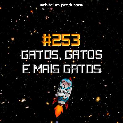 #253 Gatos, gatos e mais gatos #253 Gatos, gatos e mais gatos