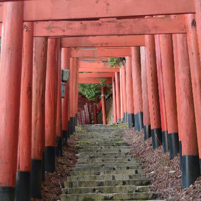 Trekking nel Mondo #55 Il Kumano Kodo: un cammino nel Giappone più spirituale.