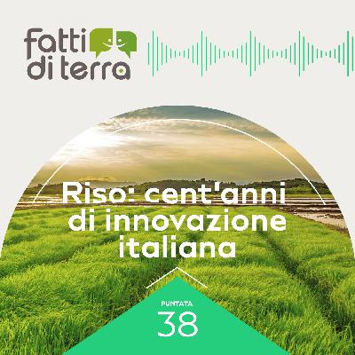 Riso: Cent'anni di Innovazione Italiana