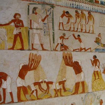 Le combat de Moïse contre l'endurcissement de Pharaon méprisant son peuple Le combat de Moïse contre l'endurcissement de Pharaon méprisant son peuple