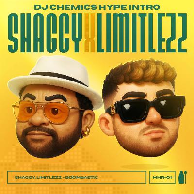 Shaggy & Limitlezz - Boombastic (DJ Chemics Hype Intro)