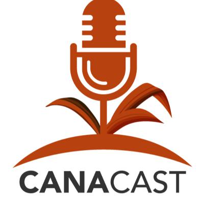 NOVAS TECNOLOGIAS PARA MELHORAR A PERFORMANCE E CUSTO DE COLHEITA