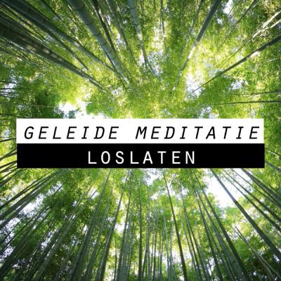 Loslaten van emoties, angst en zorgen - Geleide Meditatie met Natuurlijke geluiden