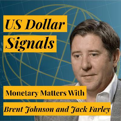 A US Sovereign Debt Crisis is Bullish for the Dollar | Brent Johnson