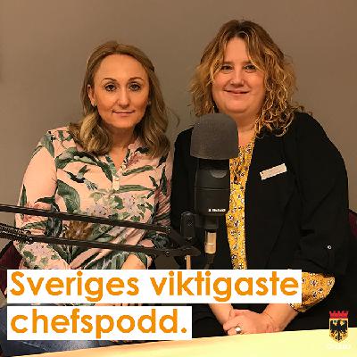 Avsnitt 18: Prisregn