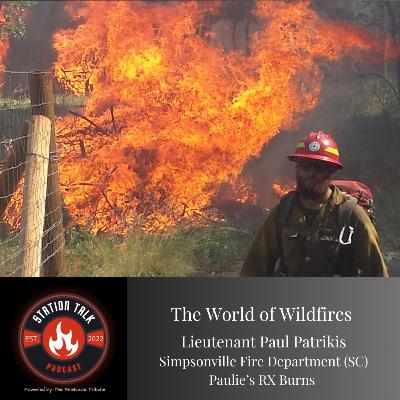 The World of Wildfires w/Lieutenant Paul Patrikis