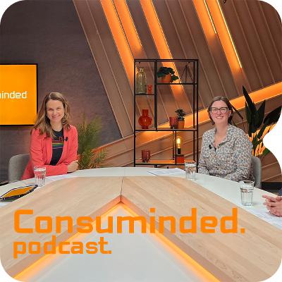 26. Jip en Janneke taal: het vliegwiel van Hema bij het samenbrengen van IT en de business. 26. Jip en Janneke taal: het vliegwiel van Hema bij het samenbrengen van IT en de business.