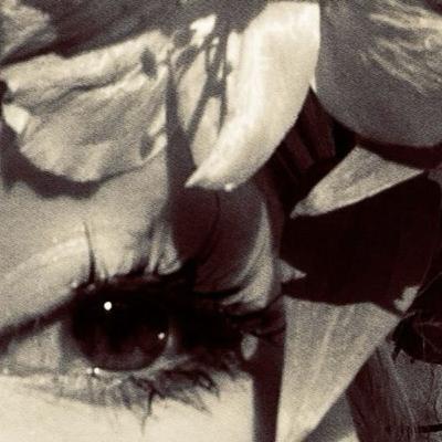 ♍️ Virgo 🌘 Solar Eclipse ✨ Guided Meditation ♍️ Virgo 🌘 Solar Eclipse ✨ Guided Meditation