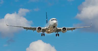 Volere volare