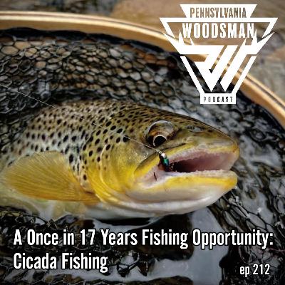 A Once in 17 Years Fishing Opportunity: Cicada Fishing