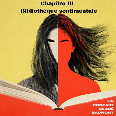 Chapitre III - Bibliothèque sentimentale