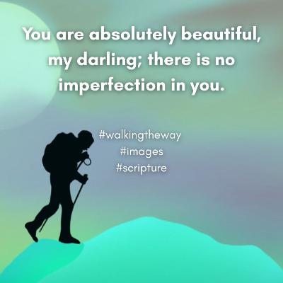 Walking the Way 28th November 2025 - Warped images Walking the Way 28th November 2025 - Warped images