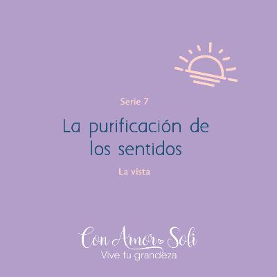 Serie 7: La purificación de los sentidos / La vista