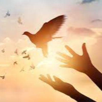 Forgiveness