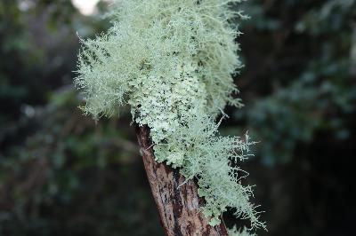 Looking for sunlight Looking for sunlight