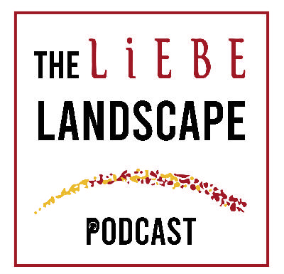 Ep 1 - Looking into Lambing Lots Ep 1 - Looking into Lambing Lots