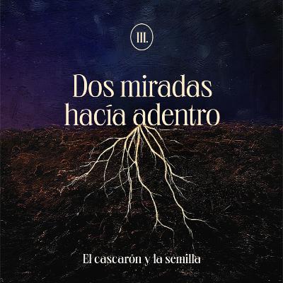 Dos miradas hacia adentro