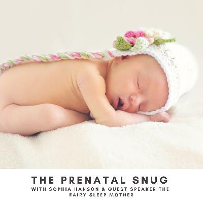 Episode 19 - Does my Newborn Need a Sleep Schedule? (with guest speaker Eileen, Fairy Sleep Mother)