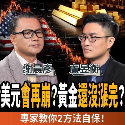 【下班經濟學＿股票】美元反彈會再崩？黃金牛市還沒漲完？專家教你2方法自保！ft. 盧昱衡、謝晨彥