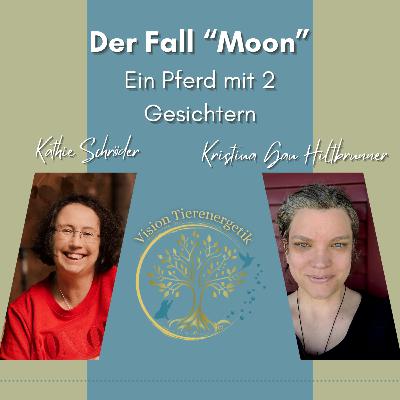 No. 42 Fallbeispiel "Moon" - Ein Pferd mit 2 Gesichtern