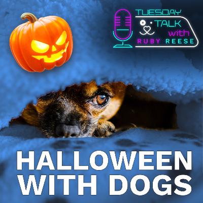 Halloween with Dogs