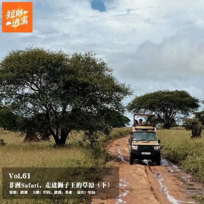 Vol.61-非洲Safari,走进狮子王的草原(下) Vol.61-非洲Safari,走进狮子王的草原(下)