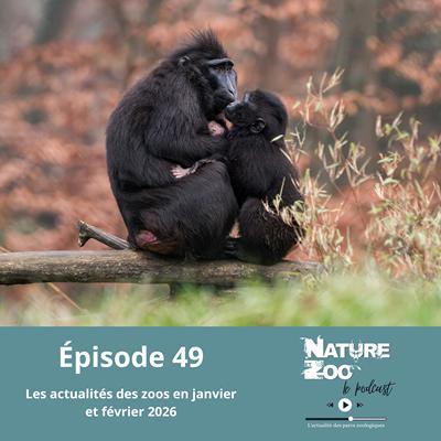 Épisode 49 (ACTU) - Les actualités en janvier et février 2026 Épisode 49 (ACTU) - Les actualités en janvier et février 2026