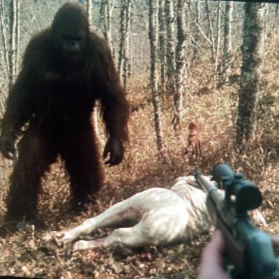 14 TRUE SCARY PACIFIC NOTHWEST HORROR STORIES 14 TRUE SCARY PACIFIC NOTHWEST HORROR STORIES