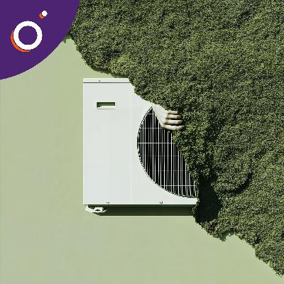 Municipales : le guide de l’écologie efficace Municipales : le guide de l’écologie efficace