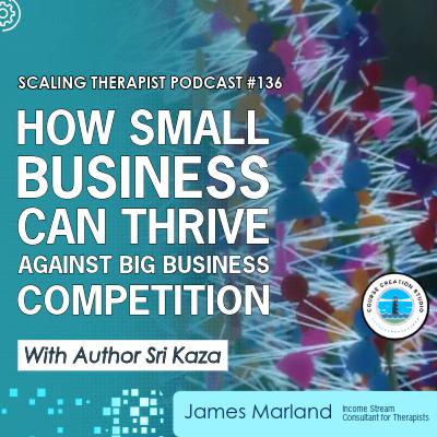 STP 136 | How Small Businesses Can Thrive Against Big Business Competition STP 136 | How Small Businesses Can Thrive Against Big Business Competition