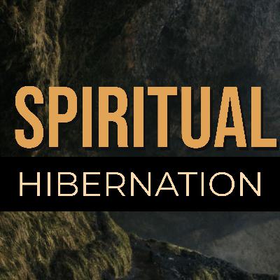 Spiritual Hibernation (Remix) Spiritual Hibernation (Remix)